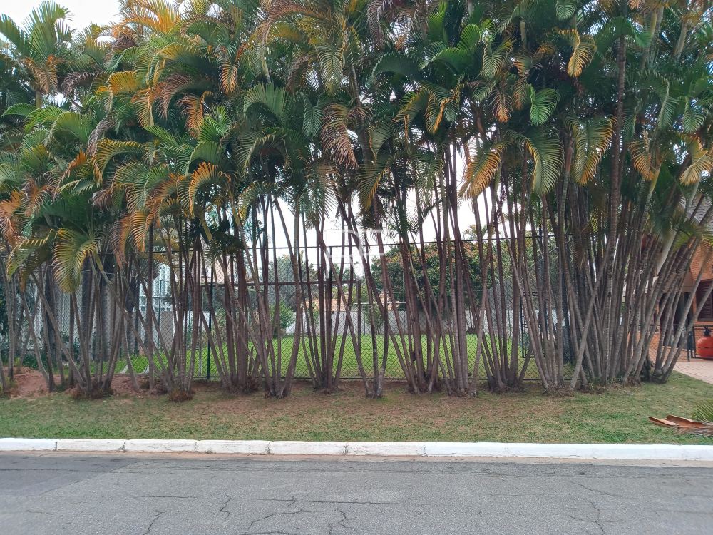 Casa em Condomínio Alphaville 02 Alphaville 