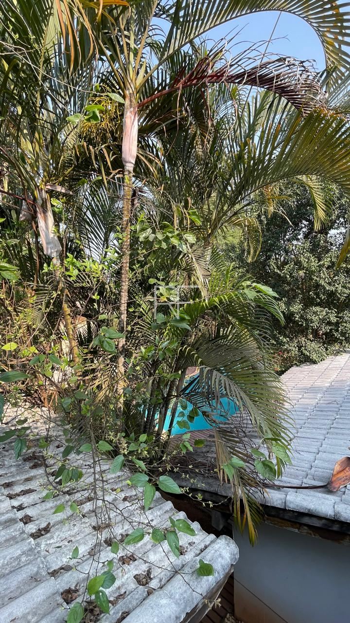 Casa em Condomínio Nova Higienópolis Granja Viana 