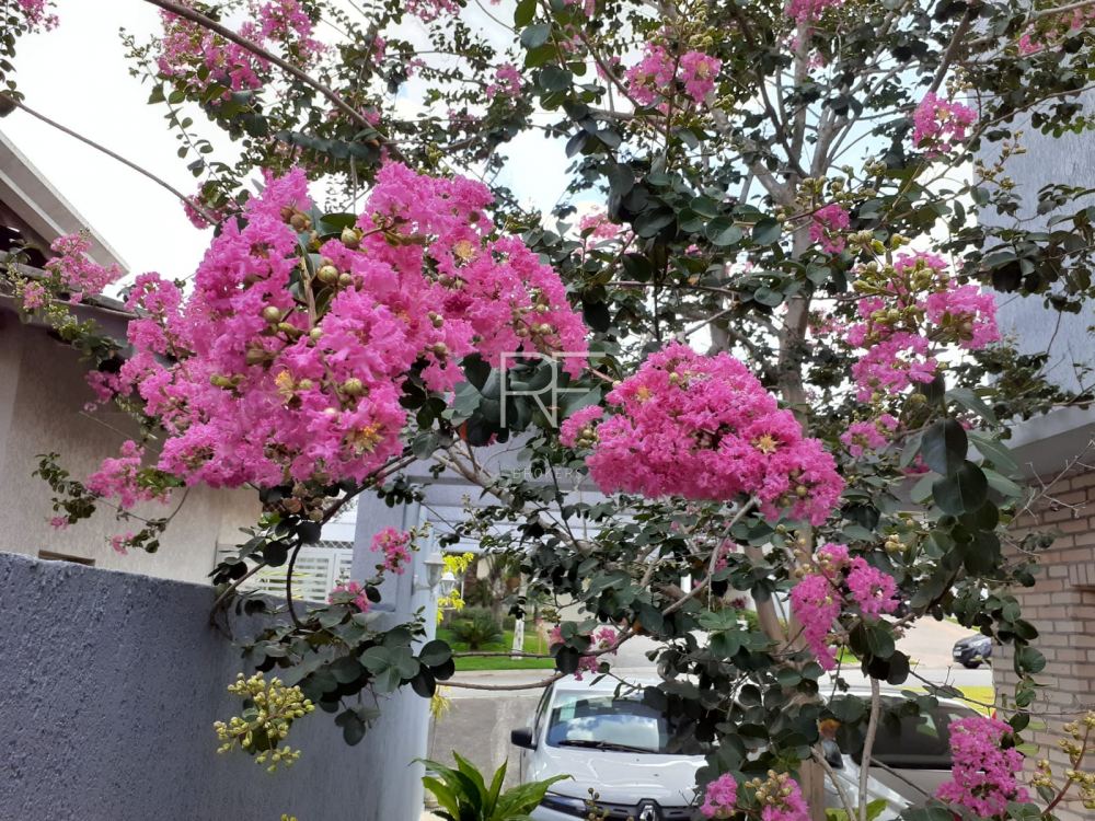 Casa em Condomínio Reserva Santa Maria Granja Viana 